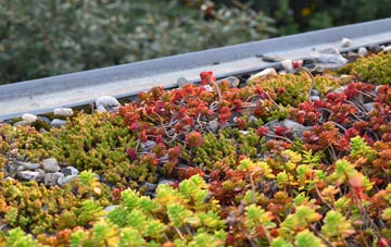 the cost of Dorrery green roof installation