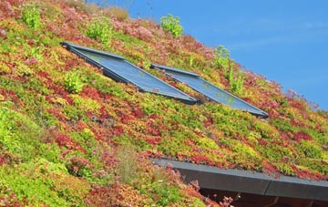 Dorrery living roof systems