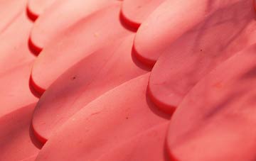 Dorrery plastic roof costs